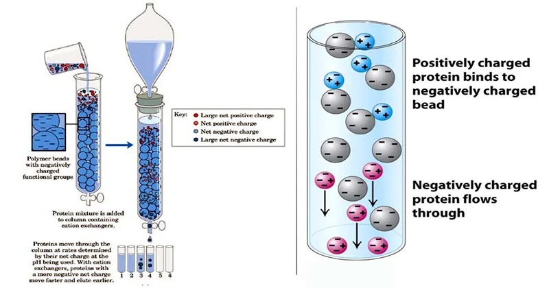 Common Faults and Solutions of Ion Chromatography: A Practical Guide