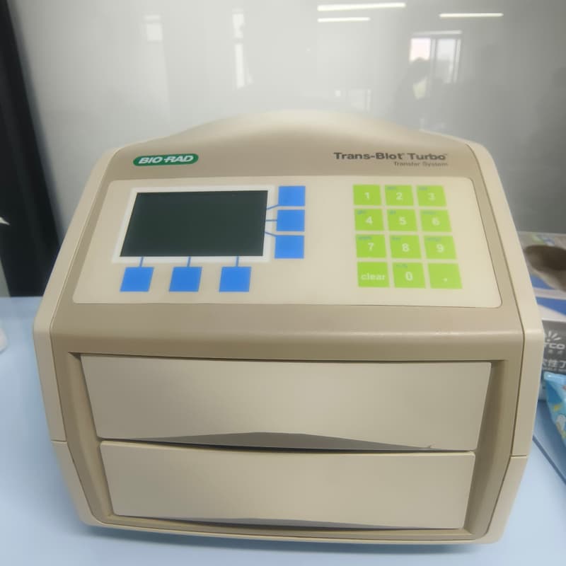 BioRad Trans-Blot Turbo Transfer System